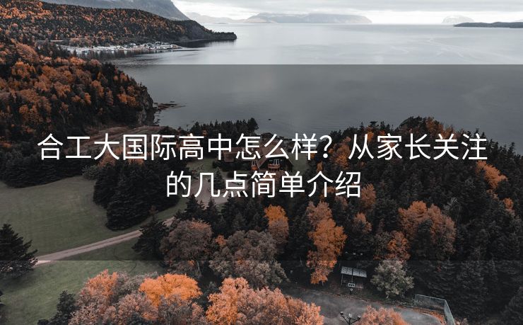 合工大国际高中怎么样？从家长关注的几点简单介绍
