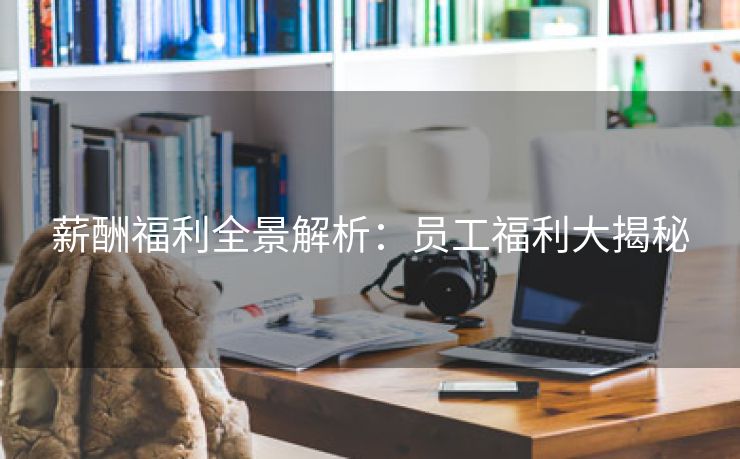 薪酬福利全景解析：员工福利大揭秘