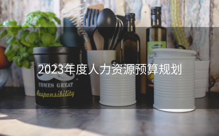 2023年度人力资源预算规划