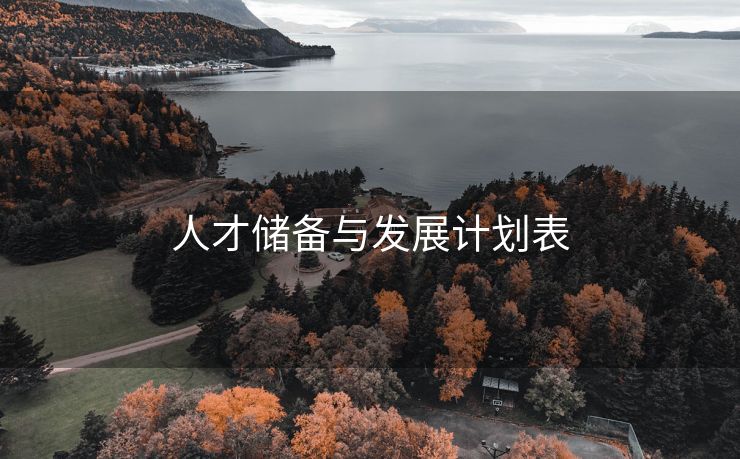 人才储备与发展计划表