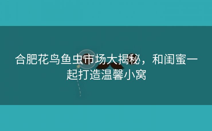 合肥花鸟鱼虫市场大揭秘，和闺蜜一起打造温馨小窝