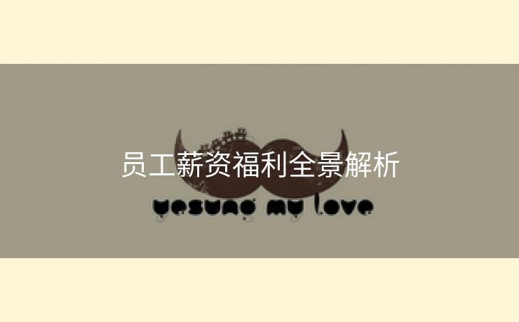 员工薪资福利全景解析