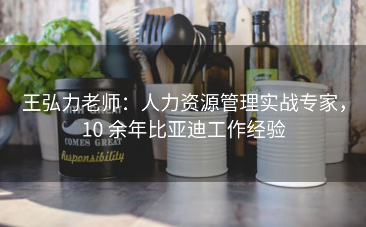 王弘力老师：人力资源管理实战专家，10 余年比亚迪工作经验