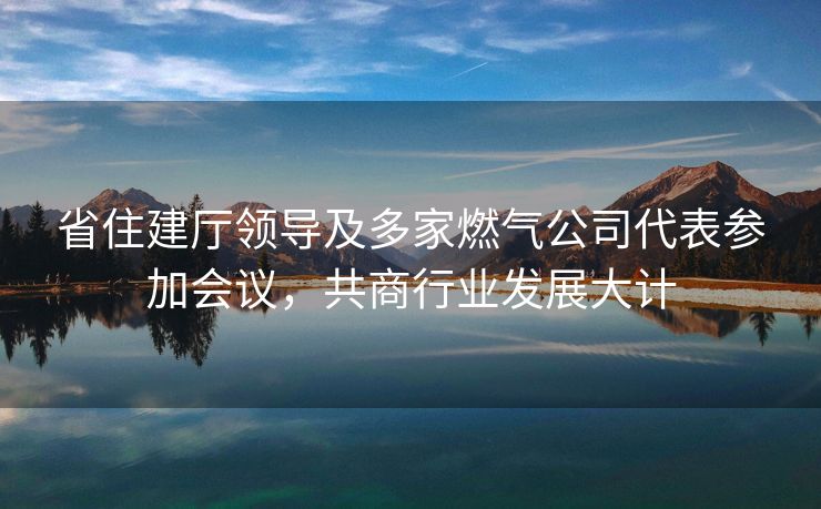省住建厅领导及多家燃气公司代表参加会议，共商行业发展大计
