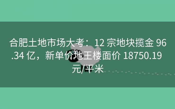合肥土地市场大考：12 宗地块揽金 96.34 亿，新单价地王楼面价 18750.19 元/平米