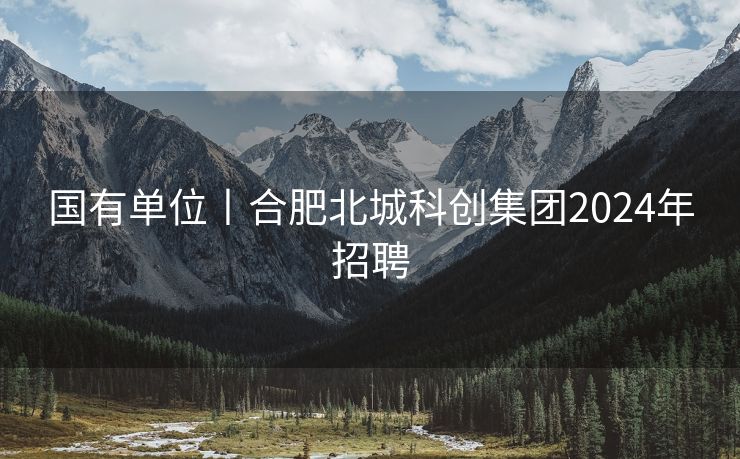 国有单位丨合肥北城科创集团2024年招聘