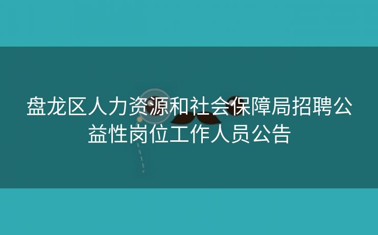 盘龙区人力资源和社会保障局招聘公益性岗位工作人员公告