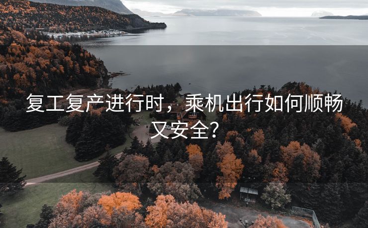 复工复产进行时，乘机出行如何顺畅又安全？