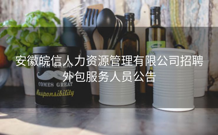 安徽皖信人力资源管理有限公司招聘外包服务人员公告