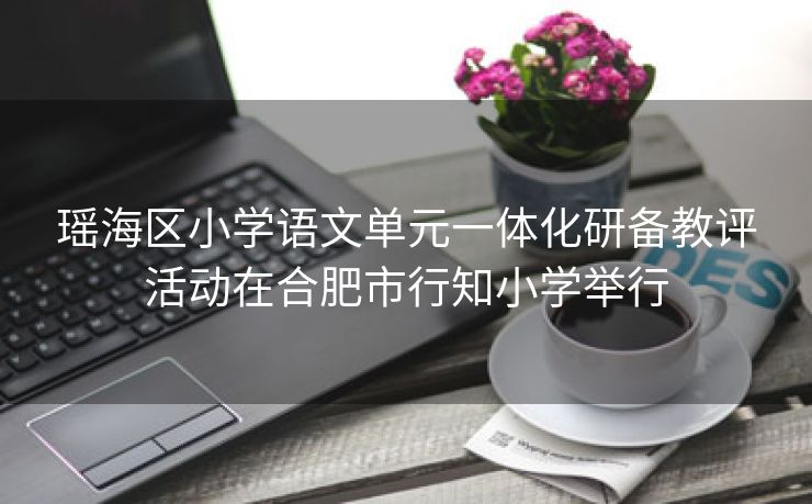瑶海区小学语文单元一体化研备教评活动在合肥市行知小学举行