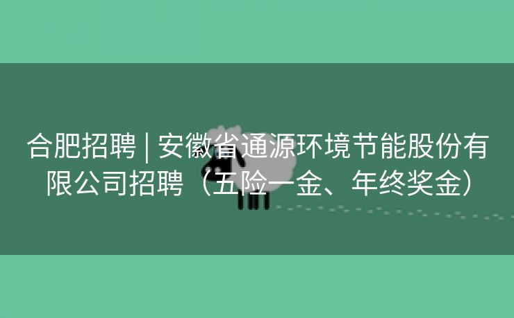 合肥招聘 | 安徽省通源环境节能股份有限公司招聘（五险一金、年终奖金）