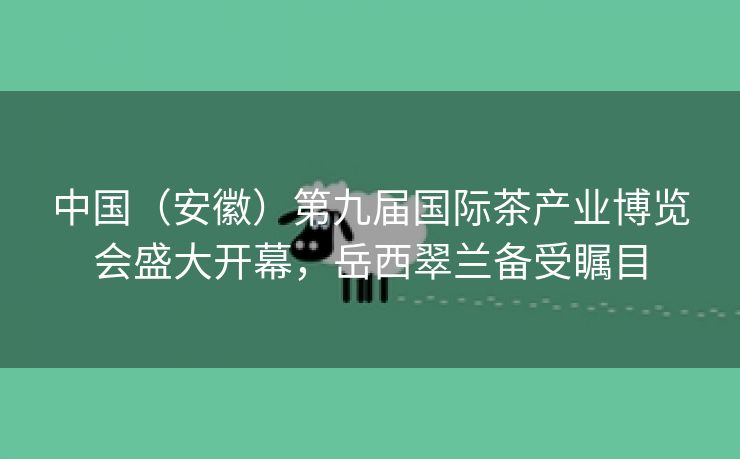 中国（安徽）第九届国际茶产业博览会盛大开幕，岳西翠兰备受瞩目