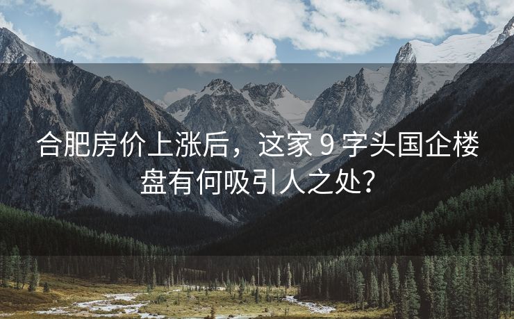 合肥房价上涨后，这家 9 字头国企楼盘有何吸引人之处？