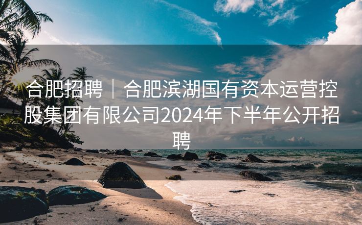 合肥招聘｜合肥滨湖国有资本运营控股集团有限公司2024年下半年公开招聘