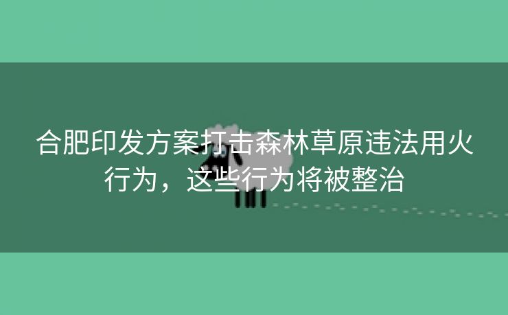 合肥印发方案打击森林草原违法用火行为，这些行为将被整治