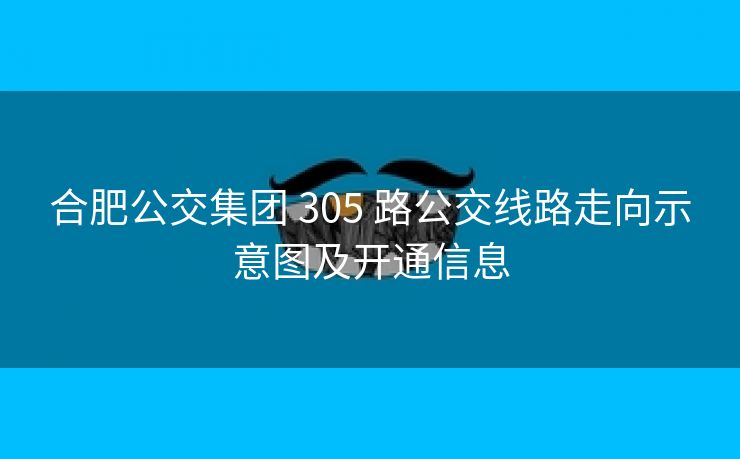 合肥公交集团 305 路公交线路走向示意图及开通信息