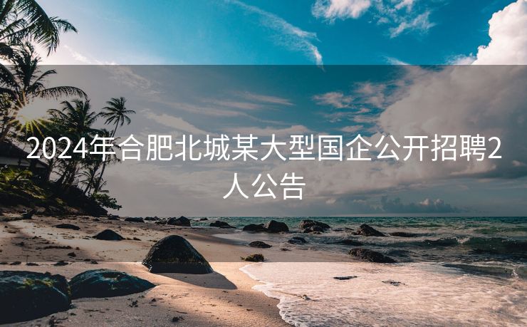 2024年合肥北城某大型国企公开招聘2人公告