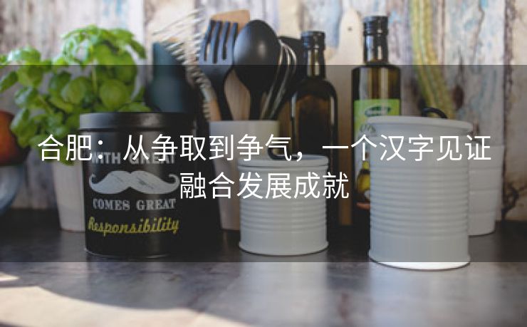 合肥：从争取到争气，一个汉字见证融合发展成就