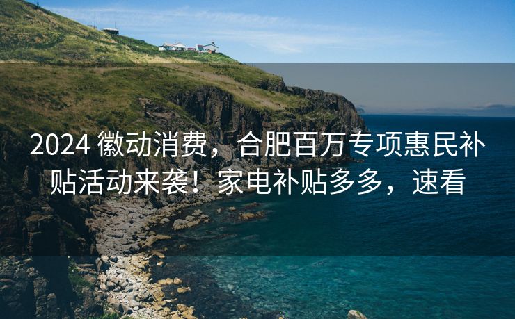 2024 徽动消费，合肥百万专项惠民补贴活动来袭！家电补贴多多，速看