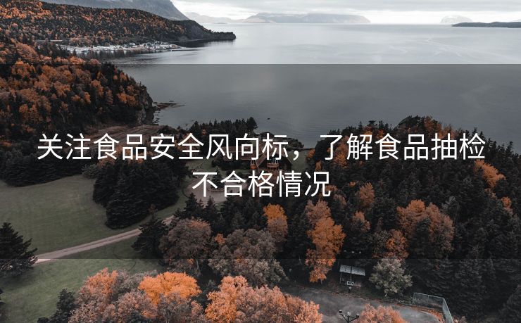 关注食品安全风向标，了解食品抽检不合格情况