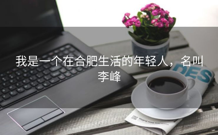 我是一个在合肥生活的年轻人，名叫李峰