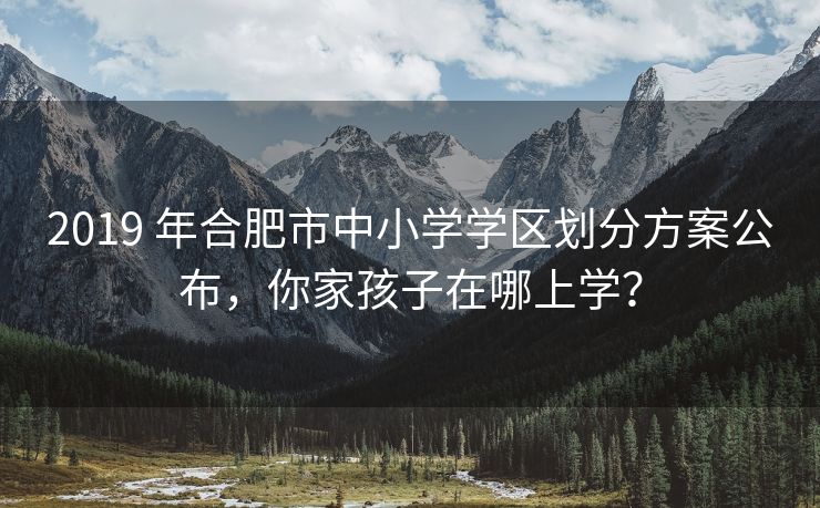 2019 年合肥市中小学学区划分方案公布，你家孩子在哪上学？