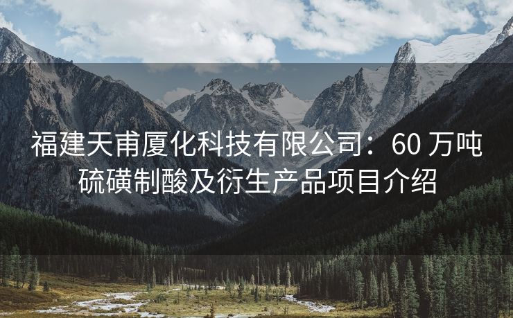 福建天甫厦化科技有限公司：60 万吨硫磺制酸及衍生产品项目介绍