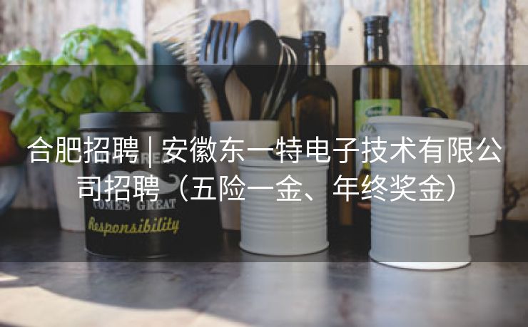 合肥招聘 | 安徽东一特电子技术有限公司招聘（五险一金、年终奖金）