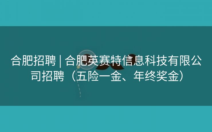 合肥招聘 | 合肥英赛特信息科技有限公司招聘（五险一金、年终奖金）