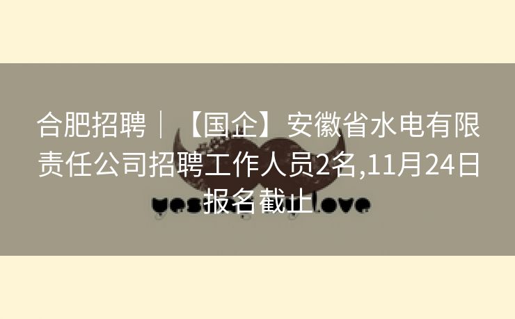 合肥招聘｜【国企】安徽省水电有限责任公司招聘工作人员2名,11月24日报名截止