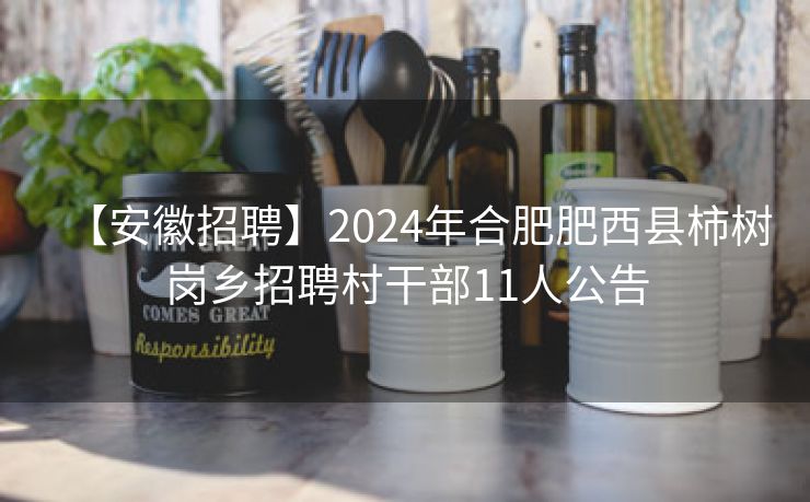【安徽招聘】2024年合肥肥西县柿树岗乡招聘村干部11人公告