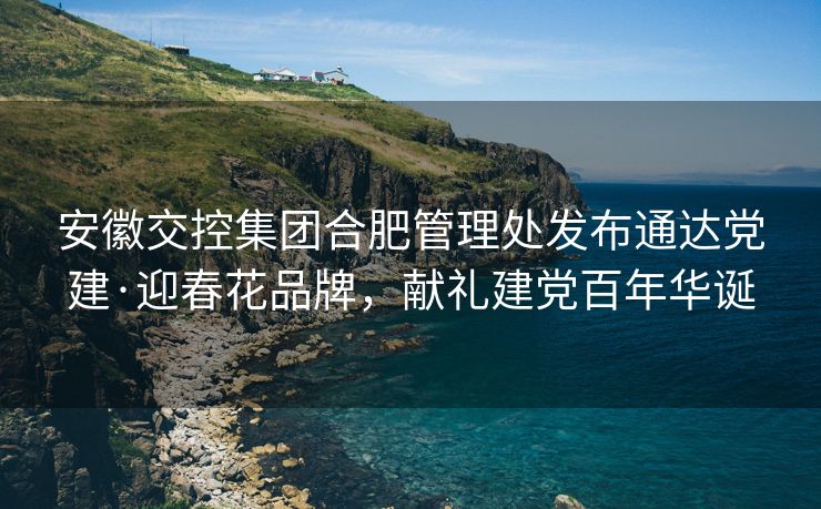 安徽交控集团合肥管理处发布通达党建·迎春花品牌，献礼建党百年华诞