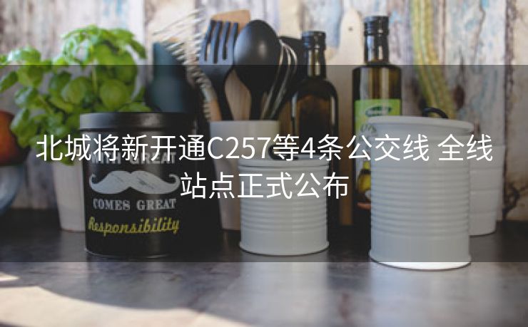 北城将新开通C257等4条公交线 全线站点正式公布