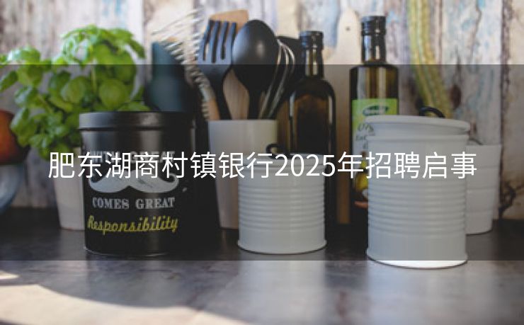 肥东湖商村镇银行2025年招聘启事