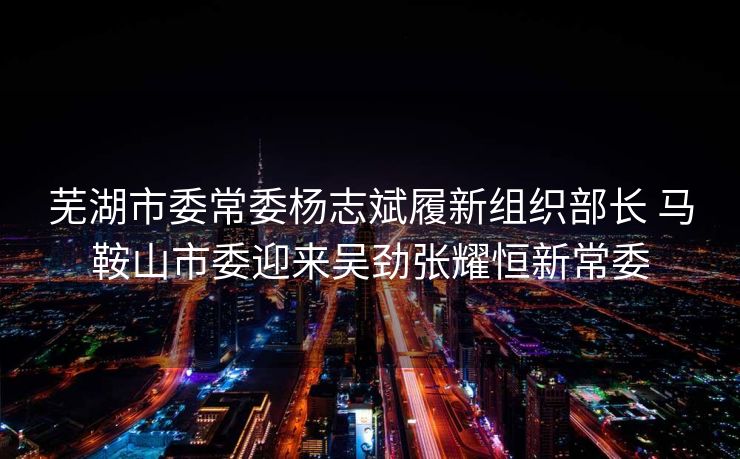 芜湖市委常委杨志斌履新组织部长 马鞍山市委迎来吴劲张耀恒新常委